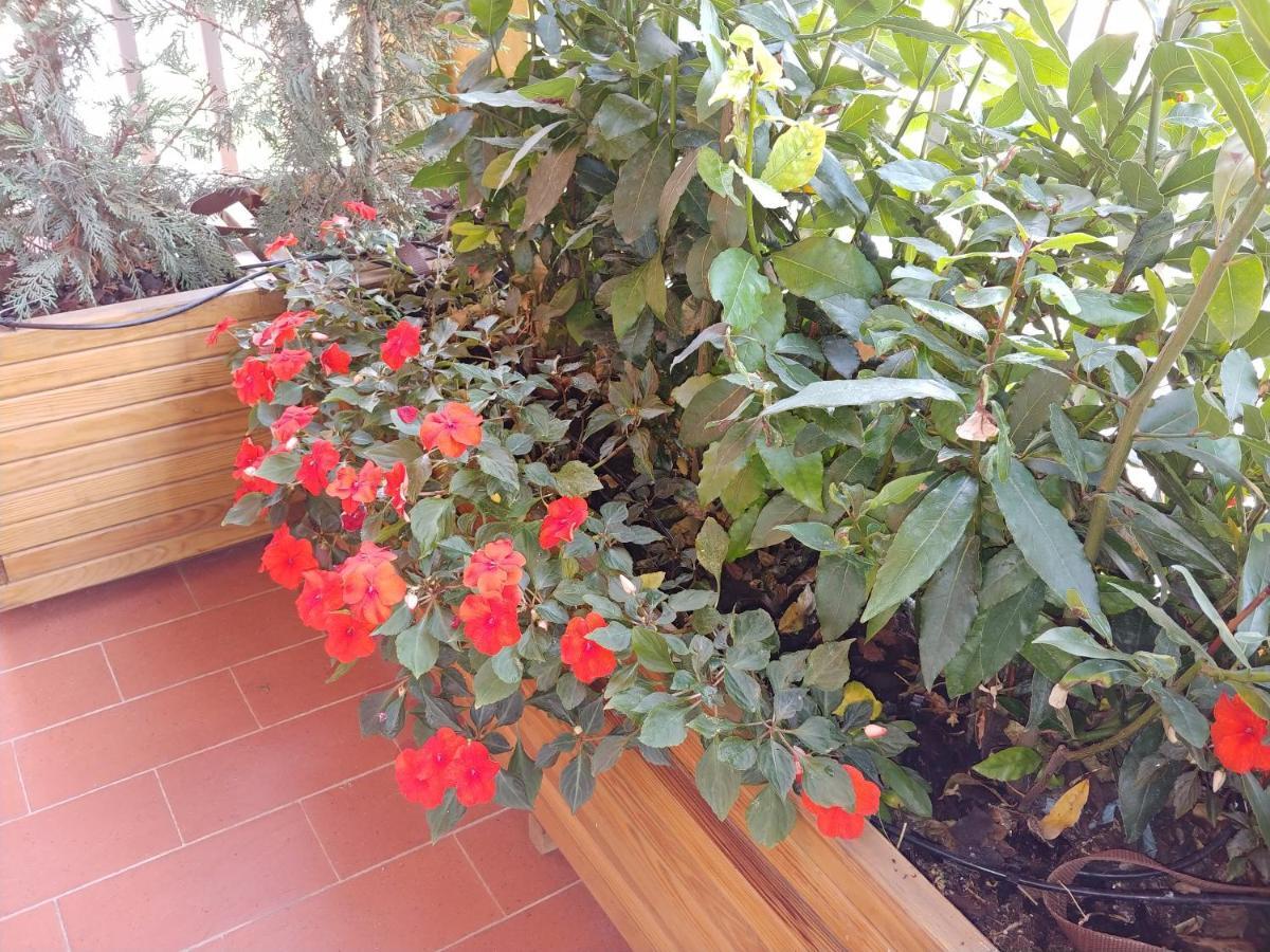 Apartamento 'la Quercia' Floor Flat *